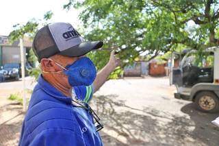 O motorista José Heleno conduzia o caminhão atingido por árvore (Foto: Paulo Francis)