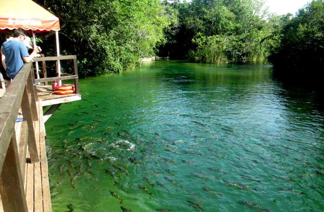 Para atrair turistas, pacotes para Bonito custam menos de R$ 500
