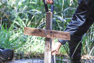 Cruz indicando de quem é o corpo enterrado em terreno no Autonomista. (Foto: Marcos Maluf)