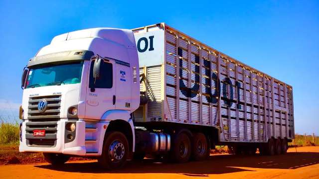 Pecuaristas de MS contar&atilde;o com aplicativo para transporte de gado