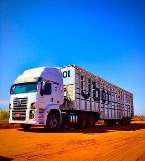 Pecuaristas de MS contar&atilde;o com aplicativo para transporte de gado