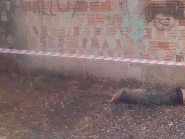Trio vai a j&uacute;ri por espancar e estrangular jovem at&eacute; a morte