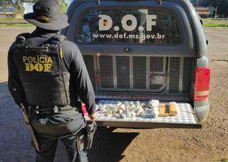Policial do DOF ao lado das drogas apreendidas. (Foto: DOF) 