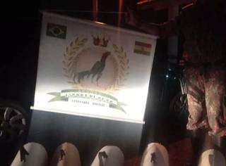 Motorista de aplicativo &eacute; flagrado com &#039;galos de rinha&#039; rumo &agrave; Bol&iacute;via