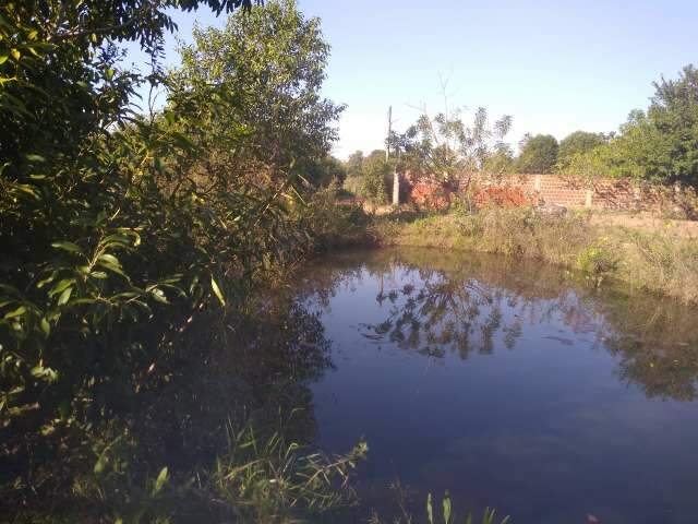 Homem &eacute; multado por destruir &aacute;rea preservada para montar tanques para peixes