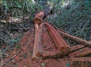 Produtor &eacute; multado em R$ 25 mil por queima de &aacute;rea de preserva&ccedil;&atilde;o ambiental