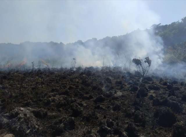 Produtor &eacute; multado em R$ 25 mil por queima de &aacute;rea de preserva&ccedil;&atilde;o ambiental