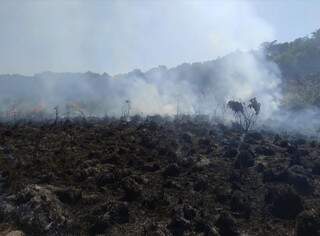 Produtor &eacute; multado em R$ 25 mil por queima de &aacute;rea de preserva&ccedil;&atilde;o ambiental