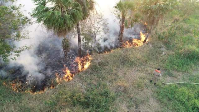 Inc&ecirc;ndios devastam 6 mil hectares de vegeta&ccedil;&atilde;o em apenas dois dias no Pantanal 