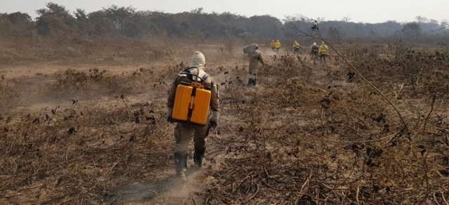 Governo pede aeronaves das For&ccedil;as Armadas para ajudar no combate as queimadas