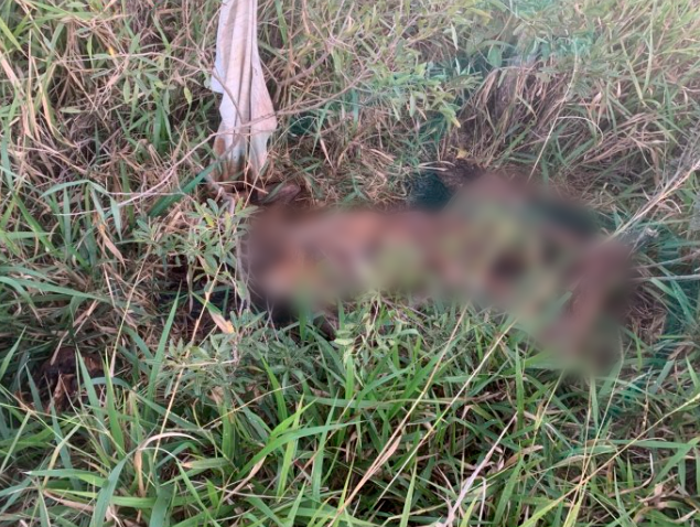 Homem que estava sumido &eacute; encontrado morto em fazenda 