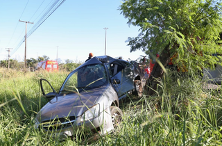 Carro ficou parcilamente danificado (Foto: Paulo Francis)