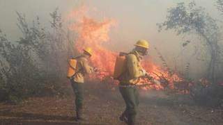 Brigadistas do Prevfogo atuam contra incêndios na região pantaneira (Foto: Divulgação/Ibama-MS)