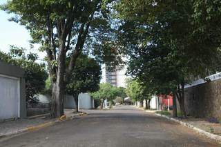 Rua deserta na região do Jardim dos Estados, bairro que melhor contribuiu para taxa de isolamento, ontem (Foto: Paulo Francis)