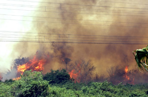 Fogo atinge 26 mil hectares no Pantanal há 7 dias e já ameaça a sede de fazenda