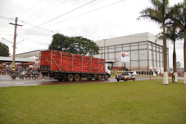 China suspende importa&ccedil;&atilde;o de frangos abatidos em frigor&iacute;fico de Dourados