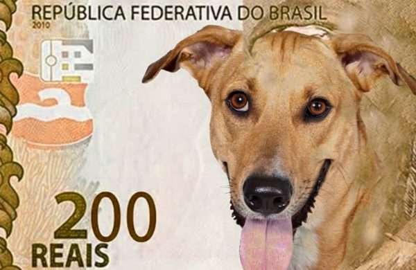 Banco Central anuncia nota de R$ 200 e personagem ser&aacute; lobo-guar&aacute;