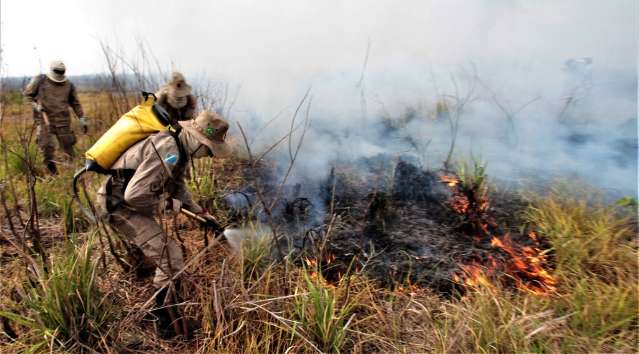 Com 3,2 mil militares, ritmo de combate &agrave;s queimadas segue intenso no Pantanal 