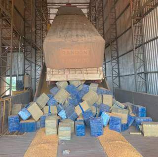 Fardos de maconha transportados em caminhão carregado com milho (Foto/Divulgação: PF)