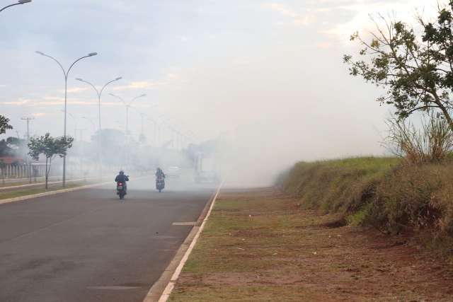 Inc&ecirc;ndio destr&oacute;i quatro hectares e vento forte leva fuma&ccedil;a para avenida 