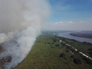 O Pantanal, metade fumaça, metade Rio Paraguai e dividido pela vegetação em horizonte sem indicativo de chuva (Foto: Thainan Bornato)