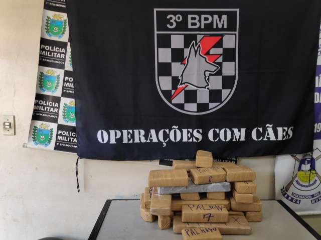 Contratado em Goi&acirc;nia, rapaz &eacute; preso em MS com 15,5 quilos de maconha em mala