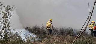 Pelo menos 300 pessoas trabalham no combate às chamas no Pantanal (Foto: Divulgação/Ibama)