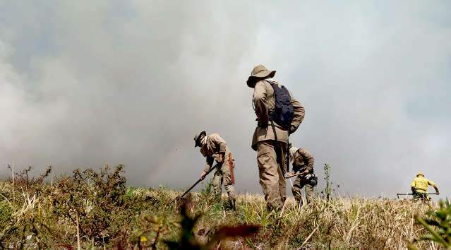 Combate a inc&ecirc;ndio &eacute; intensificado no Parque Nacional do Pantanal, divisa com MT