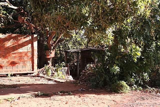 Ap&oacute;s den&uacute;ncias de execu&ccedil;&atilde;o, pol&iacute;cia procura corpo de desaparecido em mata