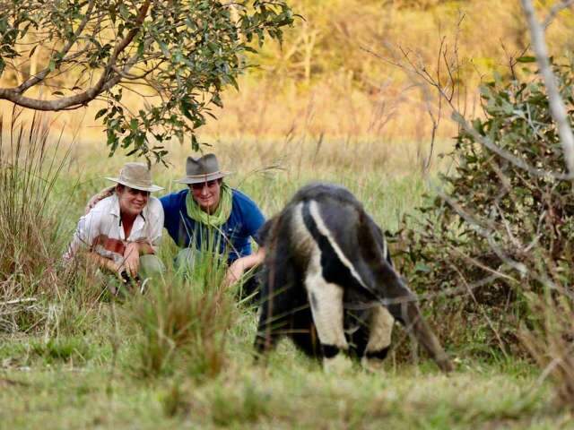 No Pantanal, que tal curtir isolamento em casa com ba&iacute;a priv&ecirc;?