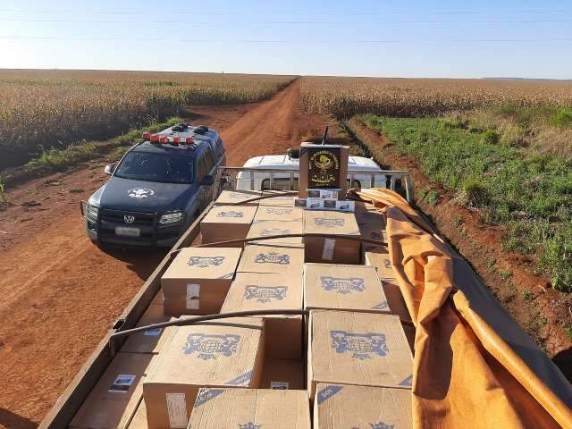 Contrabandista abandona caminh&atilde;o com 10 mil pacotes de cigarros em estrada 