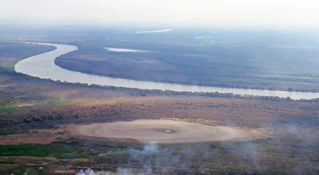 Pantanal em chamas preocupa e senadora apela a presidente Bolsonaro