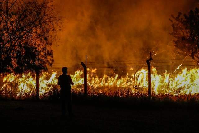 Fogo se alastra por &aacute;rea ao lado de p&aacute;tio depois de queimar 80 carros 