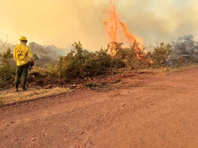 Fogo consumiu &aacute;rea de 1,3 milh&atilde;o de hectares no Pantanal 