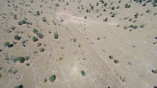 Fazendeiro &eacute; multado em R$ 112 mil por desmatar 112 hectares de mata nativa 