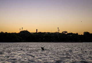 Amanhecer visto do Lago do Amor, região da Universidade Federal de Mato Grosso do Sul (Foto: Henrique Kawaminami)