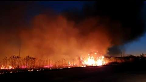 Incêndio devasta vegetação no anel viário da saída para Sidrolândia 