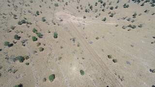 Área desmatada foi identificada através do uso de drone. (Foto: Divulgação | PMA)