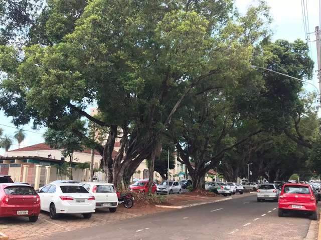 Empresa vence licita&ccedil;&atilde;o para obra de R$ 4,5 milh&otilde;es na Avenida Mato Grosso