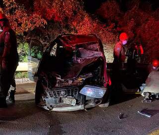 Automóvel Fiat Ideal ficou destruído após colisão com animais. (Foto: Divulgação)