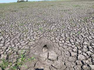 Região seca em área que costumava ser pantanosa nas baías da Serra do Amolar (Foto: Divulgação/IHP)