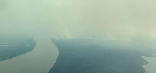 Chamas devastaram 1,4 milh&atilde;o de hectares e continuam se alastrando no Pantanal 