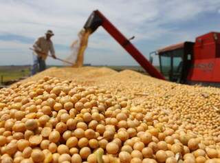 Colheita de soja; safra no Estado este ano se aproxima das 11 milhões de toneladas (Foto: Reprodução/Semagro)