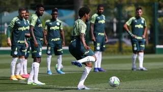 Jogadores do Palmeiras durante preparativo para estreia no Brasileiro (Foto: Divulgação)