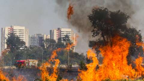 Incêndio consumiu dois hectares de terreno ao lado do Parque do Sóter