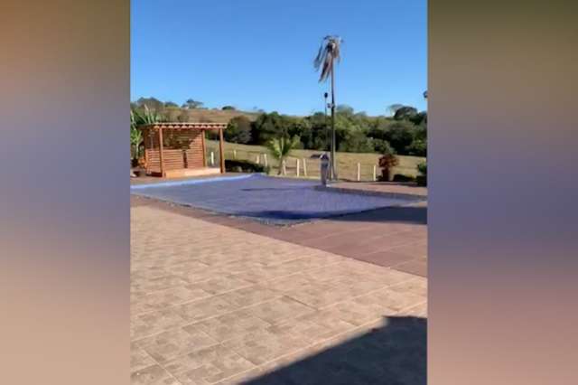 Ju&iacute;za abre processo para leiloar bois apreendidos em fazenda de piloto