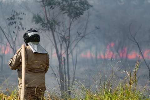 Fogo em vegeta&ccedil;&atilde;o se aproxima de barracos e preocupa moradores em comunidade