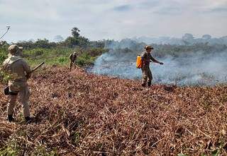 Combate a focos de incêndio na região do Pantanal (Foto: Divulgação)