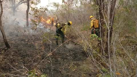 Chuva chega ao sul de MS, mas não ameniza queimadas no Pantanal