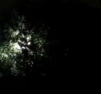 Ventania faz fio de alta tens&atilde;o explodir ao encostar em &aacute;rvore